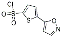 5-(5-Isoxazyl)thiophene-2-sulfonyl chloride Structure,551930-53-1Structure