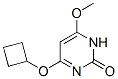 2(1H)-pyrimidinone,4-(cyclobutyloxy)-6-methoxy-(9ci) Structure,552880-95-2Structure