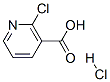 2-Chloronicotinic acid hydrochloride Structure,56055-55-1Structure