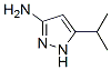 5-Isopropyl-1H-pyrazol-3-amine Structure,56367-24-9Structure