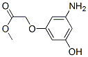 Acetic acid,(3-amino-5-hydroxyphenoxy)-,methyl ester (9ci) Structure,575474-39-4Structure