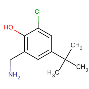 2-(Aminomethyl)-4-tert-butyl-6-chlorophenol Structure,58456-93-2Structure