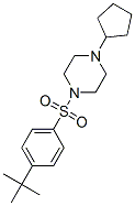 Piperazine, 1-cyclopentyl-4-[[4-(1,1-dimethylethyl)phenyl]sulfonyl]-(9ci) Structure,606133-93-1Structure