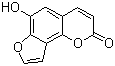 6-Hydroxy-2h-furo[2,3-h]-1-benzopyran-2-one Structure,61265-07-4Structure