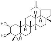 2ALPHA-羥基羽扇豆醇結(jié)構(gòu)式_61448-03-1結(jié)構(gòu)式