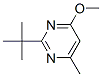 Pyrimidine, 2-(1,1-dimethylethyl)-4-methoxy-6-methyl- (9ci) Structure,617708-41-5Structure