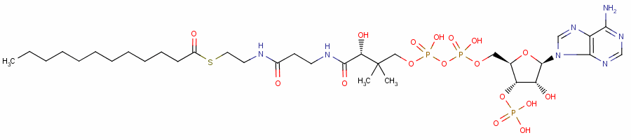 Lauroyl coenzyme a Structure,6244-92-4Structure