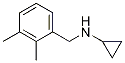 N-(2,3-dimethylbenzyl)cyclopropanamine hydrochloride Structure,625437-38-9Structure