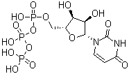 尿苷-5-三磷酸結構式_63-39-8結構式