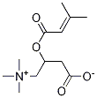 3-Methylcrotonyl L-Carnitine Structure,64656-41-3Structure