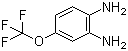 1,2-Diamino-4-(trifluoromethoxy)benzene Structure,658-89-9Structure