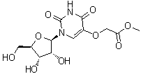 尿苷-5-氧基乙酸甲酯結(jié)構(gòu)式_66536-81-0結(jié)構(gòu)式