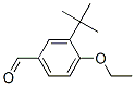 3-(Tert-butyl)-4-ethoxybenzaldehyde Structure,681443-02-7Structure