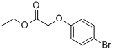 (4-Bromophenoxy)acetic acid ethyl ester Structure,6964-29-0Structure