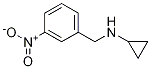 Cyclopropyl-(3-nitro-benzyl)-amine Structure,697305-95-6Structure