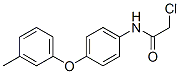 2-Chloro-n-[4-(3-methylphenoxy)phenyl]acetamide Structure,69838-52-4Structure