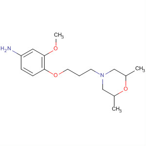 4-[3-(2,6-Dimethyl-morpholin-4-yl)-propoxy]-3-methoxy-phenylamine Structure,700804-31-5Structure