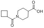 1-(Cyclobutylcarbonyl)piperidine-4-carboxylic acid Structure,700815-60-7Structure