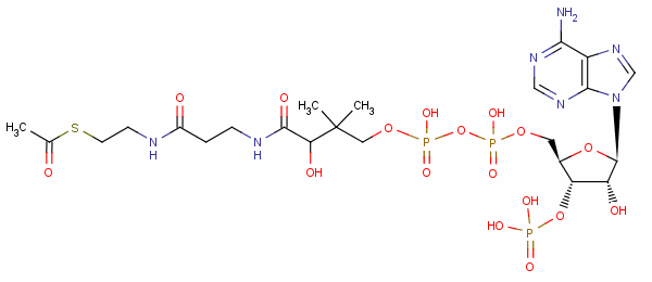 Acetyl coenzyme a Structure,72-89-9Structure