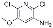 3-Amino-2,6-dichloro-5-methoxypyridine Structure,720666-44-4Structure