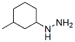 3-甲基環(huán)己基肼結(jié)構(gòu)式_741249-15-0結(jié)構(gòu)式