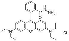 羅丹明B酰肼結(jié)構(gòu)式_74317-53-6結(jié)構(gòu)式