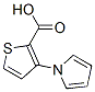 3-(1H-pyrrol-1-yl)thiophene-2-carboxylic acid Structure,74772-17-1Structure