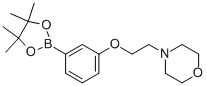 3-(2-Morpholinoethoxy)phenylboronic acid, pinacol ester Structure,756520-70-4Structure