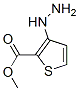 Methyl 3-hydrazinothiophene-2-carboxylate Structure,75681-13-9Structure