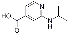 2-(Isopropylamino)isonicotinic acid Structure,77314-51-3Structure