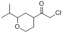 Ethanone, 2-chloro-1-[tetrahydro-2-(1-methylethyl)-2h-pyran-4-yl]-(9ci) Structure,77554-96-2Structure