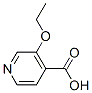 3-Ethoxyisonicotinic acid Structure,78790-88-2Structure