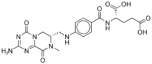 N-[4-[[(2-amino-6,7,8,9-tetrahydro-8-methyl-4,9-dioxo-4h-pyrazino[1,2-a]-1,3,5-triazin-7-yl)methyl]amino]benzoyl]-l-glutamic acid Structure,79573-48-1Structure