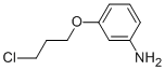 3-(3-Chloro-propoxy)-phenylamine Structure,79668-76-1Structure