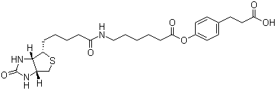 3-(4-(N-biotinoyl-6-aminocaproyloxy)phenyl)propionic acid Structure,83592-10-3Structure