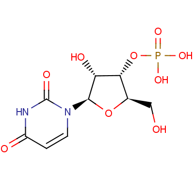 尿苷酸結(jié)構(gòu)式_84-53-7結(jié)構(gòu)式