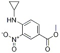 Methyl4-(cyclopropylamino)-3-nitrobenzoate Structure,848819-82-9Structure