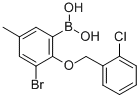 3-Bromo-2-(2-chlorobenzyloxy)-5-methylphenylboronic acid Structure,849052-17-1Structure