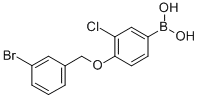 3-Chloro-4-(3-bromobenzyloxy)phenylboronic acid Structure,849062-25-5Structure