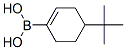 4-Tert-butylcyclohex-1-enylboronic acid Structure,850567-91-8Structure