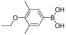 3,5-Dimethyl-4-ethoxyphenylboronic acid Structure,850568-59-1Structure