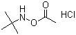 O-乙?；?N-叔丁基羥胺鹽酸鹽結構式_851074-40-3結構式