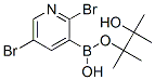 2,5-Dibromopyridine-3-boronicacidpinacolester Structure,852228-17-2Structure