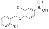 3-Chloro-4-(2-chlorobenzyloxy)phenylboronic acid Structure,870777-26-7Structure