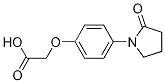 2-(4-(2-Oxopyrrolidin-1-yl)phenoxy)aceticacid Structure,871673-06-2Structure