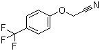 2-[4-(Trifluoromethyl)phenoxy]acetonitrile Structure,874804-02-1Structure