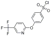 4-{[5-(Trifluoromethyl)pyridin-2-yl]oxy}benzenesulfonyl chloride Structure,874838-96-7Structure