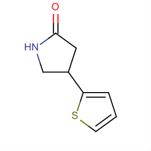 4-(2-Thienyl)-2-pyrrolidinone Structure,88221-12-9Structure