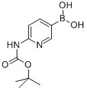 6-(Tert-Butoxycarbonylamino)pyridin-3-ylboronic acid Structure,883231-20-7Structure