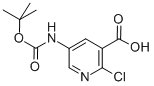 5-Tert-butoxycarbonylamino-2-chloronicotinicacid Structure,885277-14-5Structure